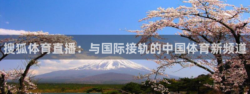 857体育赛事直播免费观看：搜狐体育直播：与国际接轨的中国体育新频道