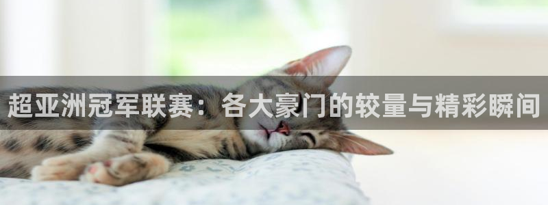857体育直播平台：超亚洲冠军联赛：各大豪门的较量与精彩瞬间