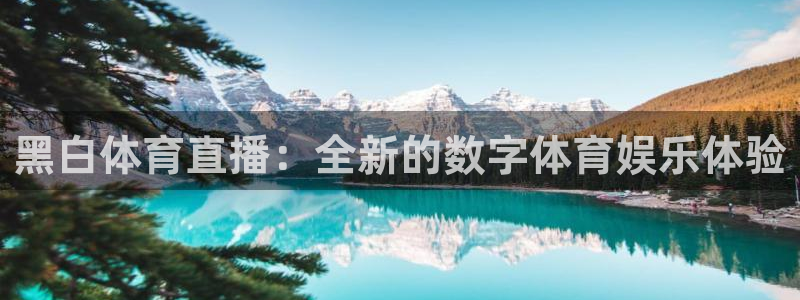 857直播体育间：黑白体育直播：全新的数字体育娱乐体验