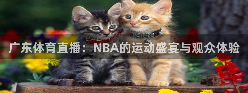 857足球直播高清完整版：广东体育直播：NBA的运动盛宴与观众体验