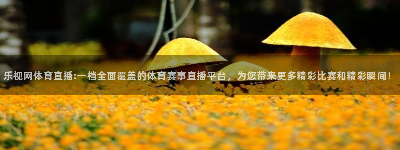 857体育赛事直播下载：乐视网体育直播:一档全面覆盖的体育赛事直播平台，为您带来更多精彩比赛和精彩瞬间！