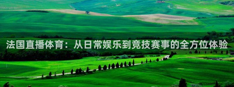 857ty体育直播：法国直播体育：从日常娱乐到竞技赛事的全方位体验