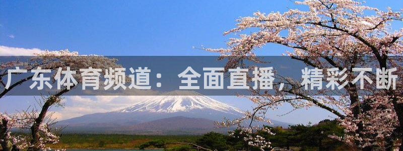 857直播看球直播间：广东体育频道：全面直播，精彩不断